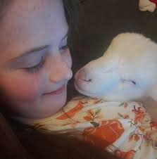 Hi, does anyone know if there's any local support groups for parents with  Autistic/Aspergers/Asd children? I have searched the Internet but no success