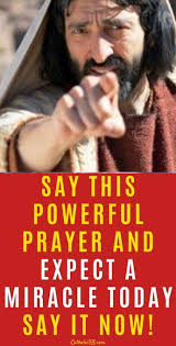 Sue Noll (sueenoll)」のプロフィール｜Pinterest