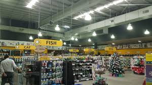 If you and the animal are a match. Petbarn Windsor Pet Store 410a 142 Newmarket Rd Windsor Qld 4030 Australia