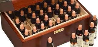 Innere unruhe ist oft ganz normal. Therapeutische Bachbluten Liste Aller 38 Bachbluten Der Uberblick Das Grosse Deutsche Bach Bluten Portal