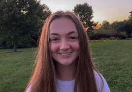 School Fights and Threats of Violence a Cause for Concern