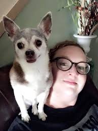 Do parrots get along with dogs?