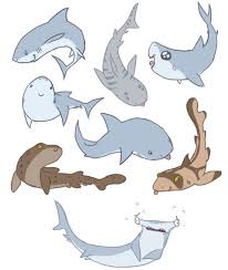 Sharkssharkssharks Shark Art Cute Drawings Cute Animal Drawings