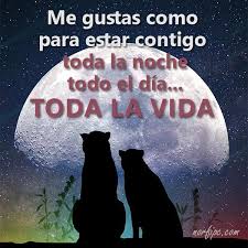 Mensajes De Amor Bonitos Para Mi Pareja Mensajes De Amor Bonitos Mensajes De Amor Fotos De Amor