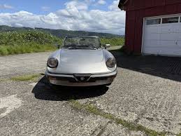 Image result for Avorio 1984 Alfa-Romeo