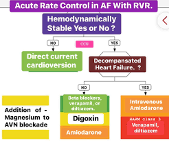 Image result for Atrial Fibrillation Rhythm Control