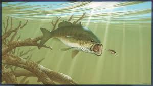 Profile for Frankie's 4 Points Bait & Tackle