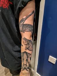 Start of my natural-history style sleeve by Merry at Northgate Tattoo, Bath  UK : rtattoos