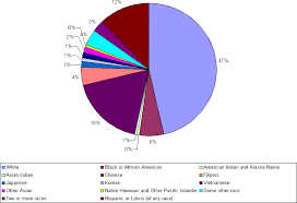 File San Francisco Ca Race W Asian Subdivision 2006 Gif