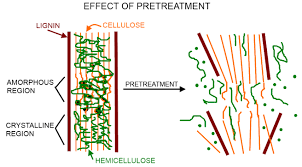Figure 7.5 shows a bagasse combustion facility. Schematic Of Pretreatment Of Lignocellulosic Biomass Adapted From 8 Download Scientific Diagram