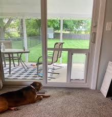 Close the sliding door against the pet door to make sure that there are no gaps. In The Glass Sliding Pet Door Vs Patio Panel Pet Doors