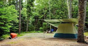 Bar Harbor Acadia Campgrounds Maine Camping