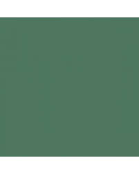 Image result for Hopewood Green 1929 Pontiac