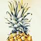 Watercolour Pineapple Workshop 20/2 event image