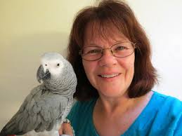 Board of Directors Archives