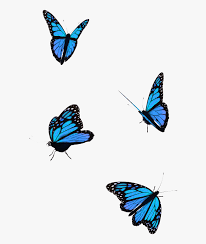When designing a new logo you can be inspired by the visual logos found here. Transparent Butterfly Flying Gif Hd Png Download Transparent Png Image Pngitem