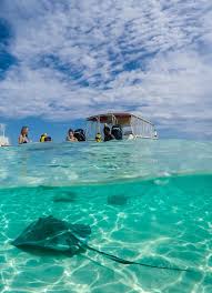 12 Best Things To Do In Grand Cayman With Kids La Jolla Mom Grand Cayman Island Stingray City Grand Cayman Island Pictures