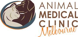 Our modern and inviting hospital boasts superb veterinarians and caring support staff. Home Animal Medical Clinic