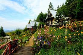 Kiram39s village mesilau kundasang sabah youtubersabahan sabahan. Kiram S Village Cabin Home Facebook