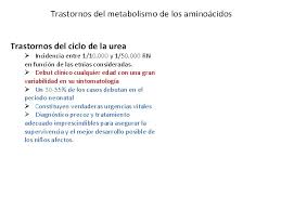 En eritrocitos y riñón se identificaron transportadores de urea (ut). Trastornos Del Metabolismo De Los Aminocidos Tema 28