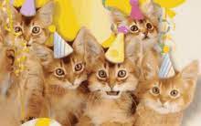 With tenor, maker of gif keyboard, add popular happy birthday singing cats animated gifs to your conversations. Happy Birthday Cat Gifs Tenor