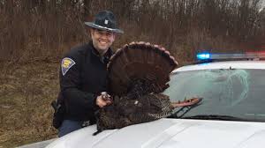 For the sink water bath method, begin the thawing the night before. Man Describes Terrifying Crash With 30 Lb Wild Turkey In Indiana Abc7 Chicago