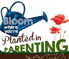 21.10.2021 · using an amalgam of these official sources, the definition of parenting includes elements like these: Bloom Where You Are Planted In Parenting Susan Merrill