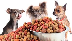These formulas are supplemented with the proper minerals and nutrients so that they provide a convenient and affordable. 10 Best Dog Foods For Small Dogs In 2021 Treehouse Puppies