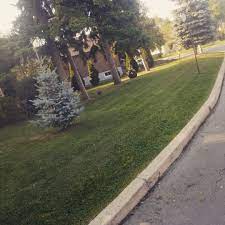 For years i have needed to aerate my lawn after we got our septic replaced. Pro Aerators Posts Facebook