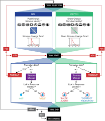 It's simple to use, connect tester across burned out fuse. Similar Visual Perception In Gcamp6 Transgenic Mice Despite Differences In Learning And Motivation Biorxiv