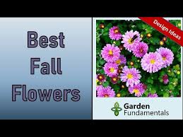 Both these conditions can lead to a failure of flowers to set fruit. Best Fall Flowers Planning A Fall Garden That Pops Youtube