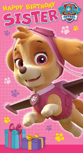 Unsere mittlere ist vor kurzem sechs jahre alt geworden. Paw Patrol Geburtstagskarte Fur Die Schwester Amazon De Burobedarf Schreibwaren