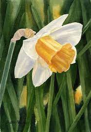 Single Yellow Daffodil By Sharon Freeman In 2021 Daffodils Flower Painting Yellow Daffodils