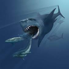 112,441 likes · 99 talking about this. Megalodon Wikipedia
