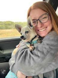 Love for Chihuahuas as pets