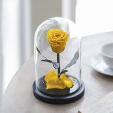 Maybe you would like to learn more about one of these? Over 50 Different Options Of Rose In Glass Dome Free Uk Delivery