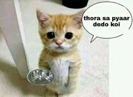 Pin By Saimamohiuddin Saima On Love Story In 2020 Funny Baby Quotes Cute Funny Quotes Fun Quotes Funny
