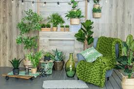 Piante da interno che richiedono poca luce.diverse piante da appartamento si accontentano di poca luce. Piante Da Appartamento Quali Scegliere Se Si Ha Poca Luce