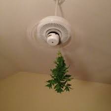 Reversing fan direction in winter can also save energy because it will keep warm air, which naturally rises, down at the level where people gather. Pin On For The Home