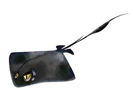 Image result for Stingray