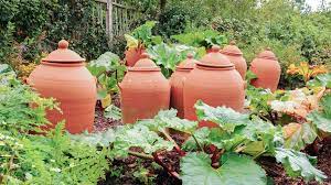Grund genug, im garten mal eine bestandsaufnahme zu machen und einmal nachzuschauen, welche pflanzen hier richtige bienenmagnete sind und wo es eventuell noch pflanzbedarf gibt. Rhabarber Vortreiben Und Fruher Ernten Ndr De Ratgeber Garten Nutzpflanzen