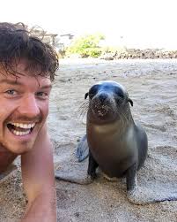 攝影師Allan Dixon 跟一群野生動物拍的可愛自拍照