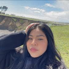 A massive brawl broke out at the Westfield Galleria at Roseville mall  Sunday evening.