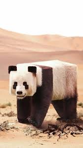 Hd Cubic Panda Wallpaper Minecraft 2020 Panda Duvar Kagitlari Duvar