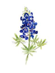 1020x1440 bluebonnets coloring pages to print coloring for kids. Art Print Bluebonnet Print Of Watercolor Wild By Thejoyofcolor Watercolor Flowers Blue Bonnets Flower Drawing