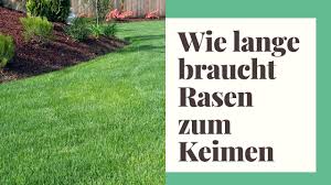 Weniger aufwendig ist eine blumenwiese. Wie Lange Braucht Rasen Zum Keimen Nach Der Aussaat Bis Zu Keimung Youtube