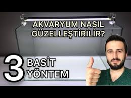 Akvaryum Suyu Nasil Degistirilir Youtube