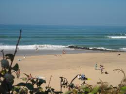 Las actividades serán en el sitio para que jóvenes y adultos puedan divertirse y. Camping Les Fougeres A Lacanau Aquitaine Gironde Camping Les Fougeres Lacanau