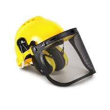 TR Industrial Forestry Safety Helmet and Hearing Protection ...