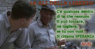 Una delle scene meravigliose presenti all'interno di essa è quella nella quale andy gira il grammofono verso l'ala dei detenuti facendo loro ascoltare le note de le nozze di figaro di mozart, subendo poi le angherie dei secondini. Frasi Del Film Le Ali Della Liberta Anno 1994